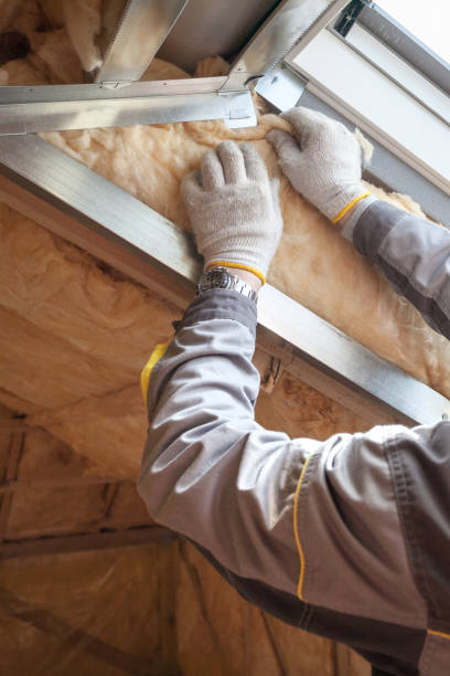 Best Cellulose Insulation in Clendenin, WV