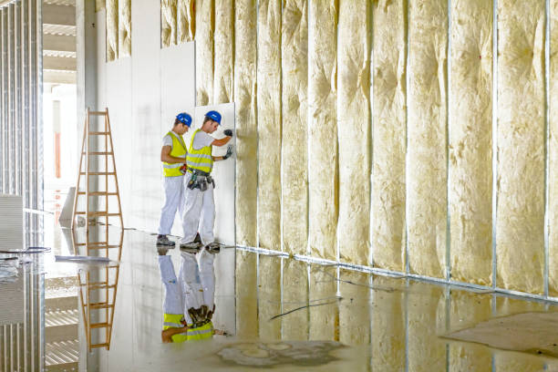 Best Spray Foam Insulation in Clendenin, WV